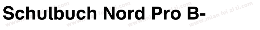 Schulbuch Nord Pro B字体转换